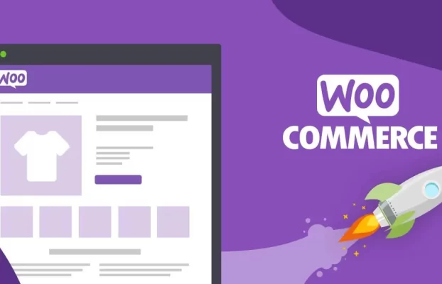 Wordpress Hizmeti WooCommerce Nedir ?